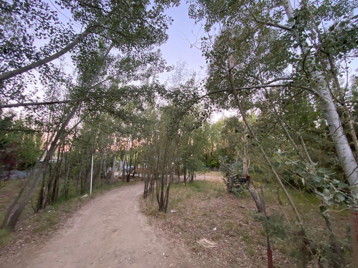 Foto de Cabaña en Bellavista Sur con amplio terreno., imagen 2