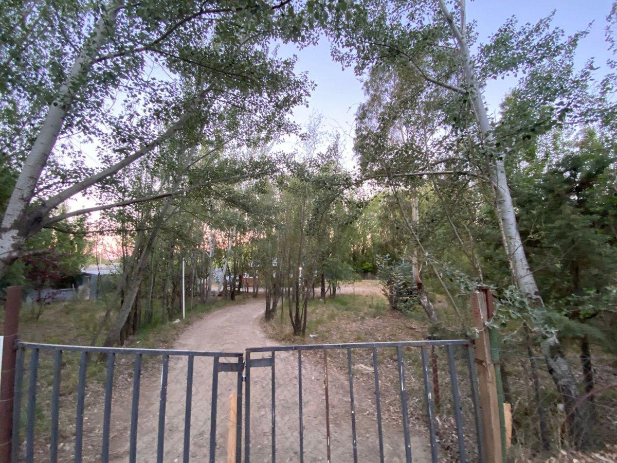 Foto de Cabaña en Bellavista Sur con amplio terreno., imagen 1