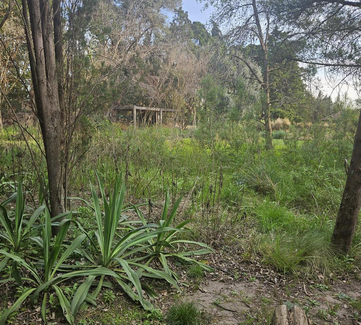 Foto de Terreno en Carmel C.C, imagen 3