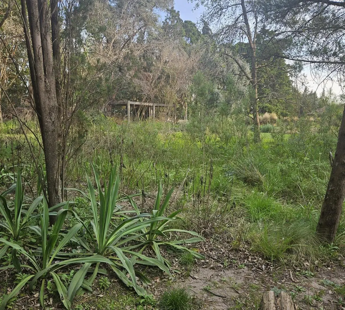 Terreno en Carmel C.C 3