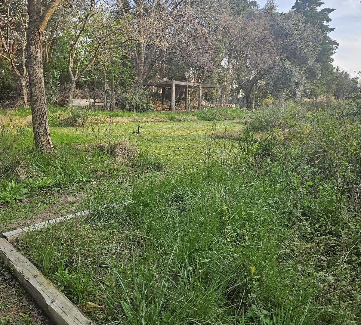Foto de Terreno en Carmel C.C, imagen 4