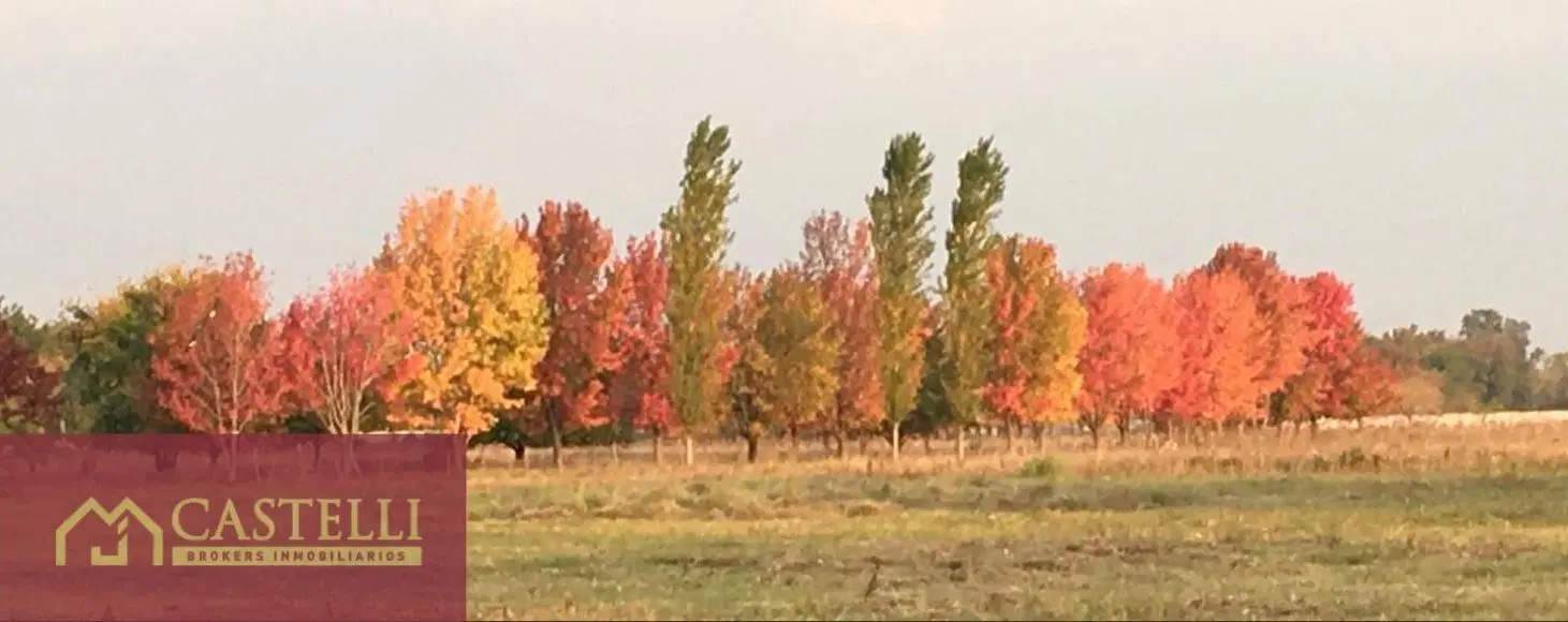 Terreno en venta en El Paso. Del Viso, Pilar 5