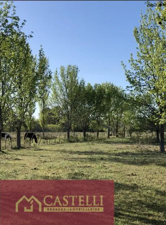 Terreno en venta en El Paso. Del Viso, Pilar 4