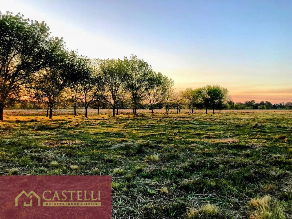 Terreno en venta en El Paso. Del Viso, Pilar 3