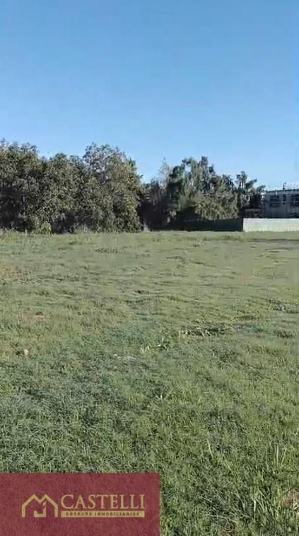 Foto de Terreno en venta en Pilara, el Tilbury, imagen 5