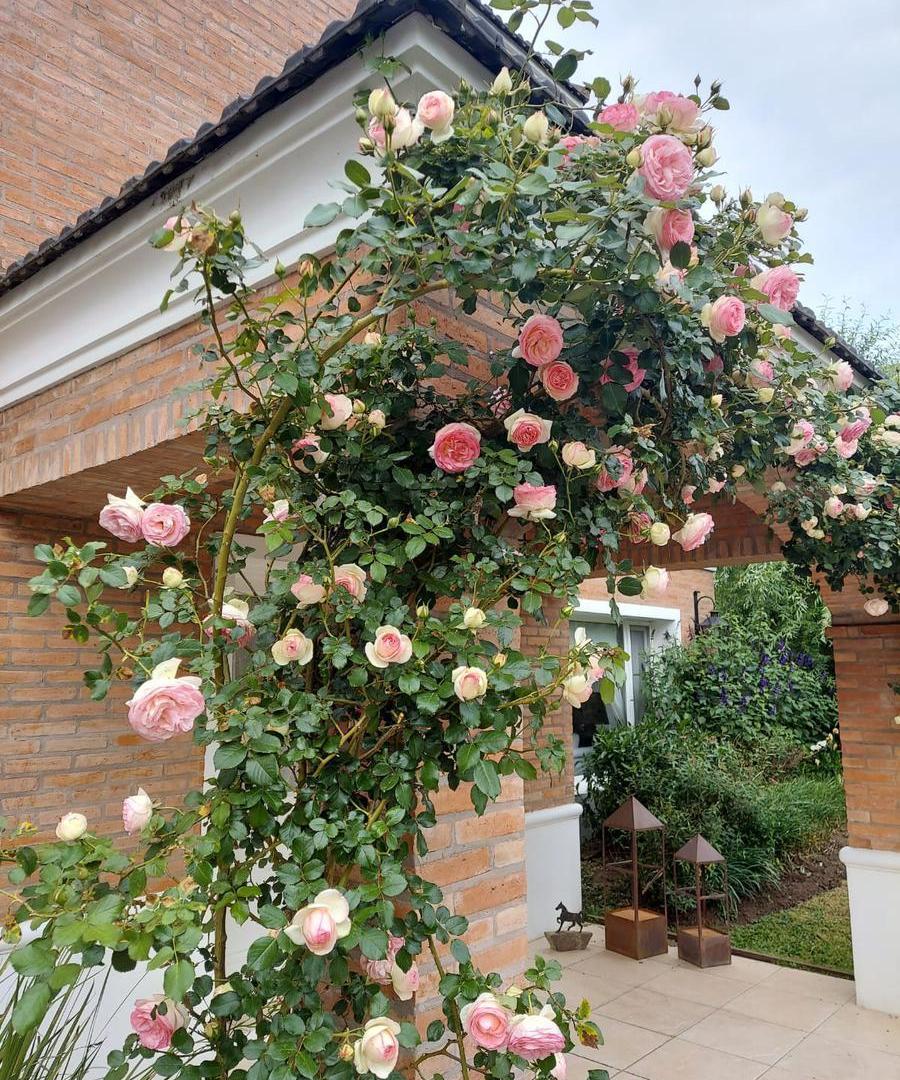 Foto de Casa en Los Jazmines Pilar del Este, imagen 5