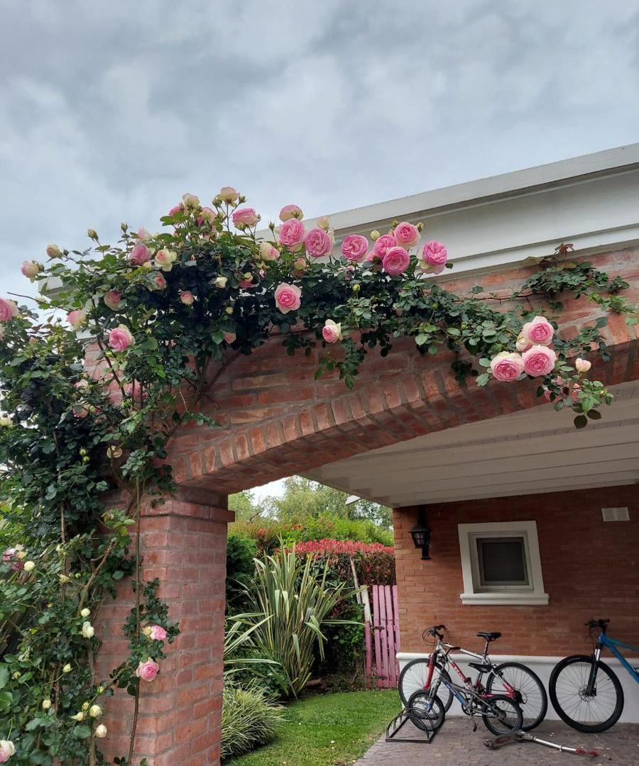 Foto de Casa en Los Jazmines Pilar del Este, imagen 4