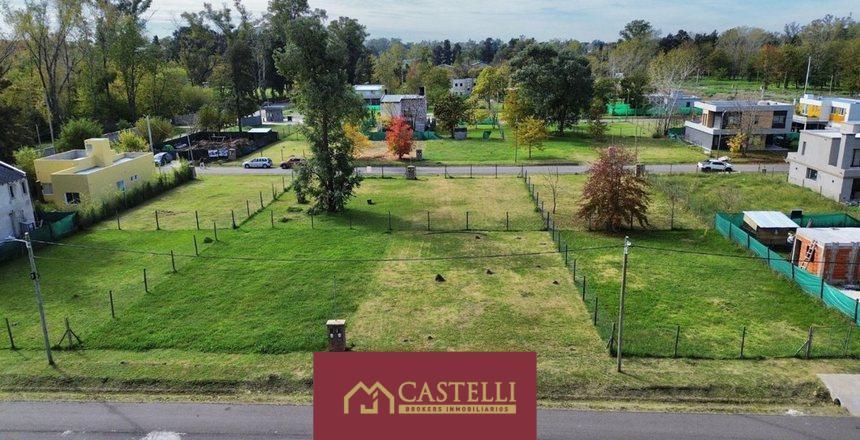Foto de Terreno en venta en pampa pilar, imagen 4