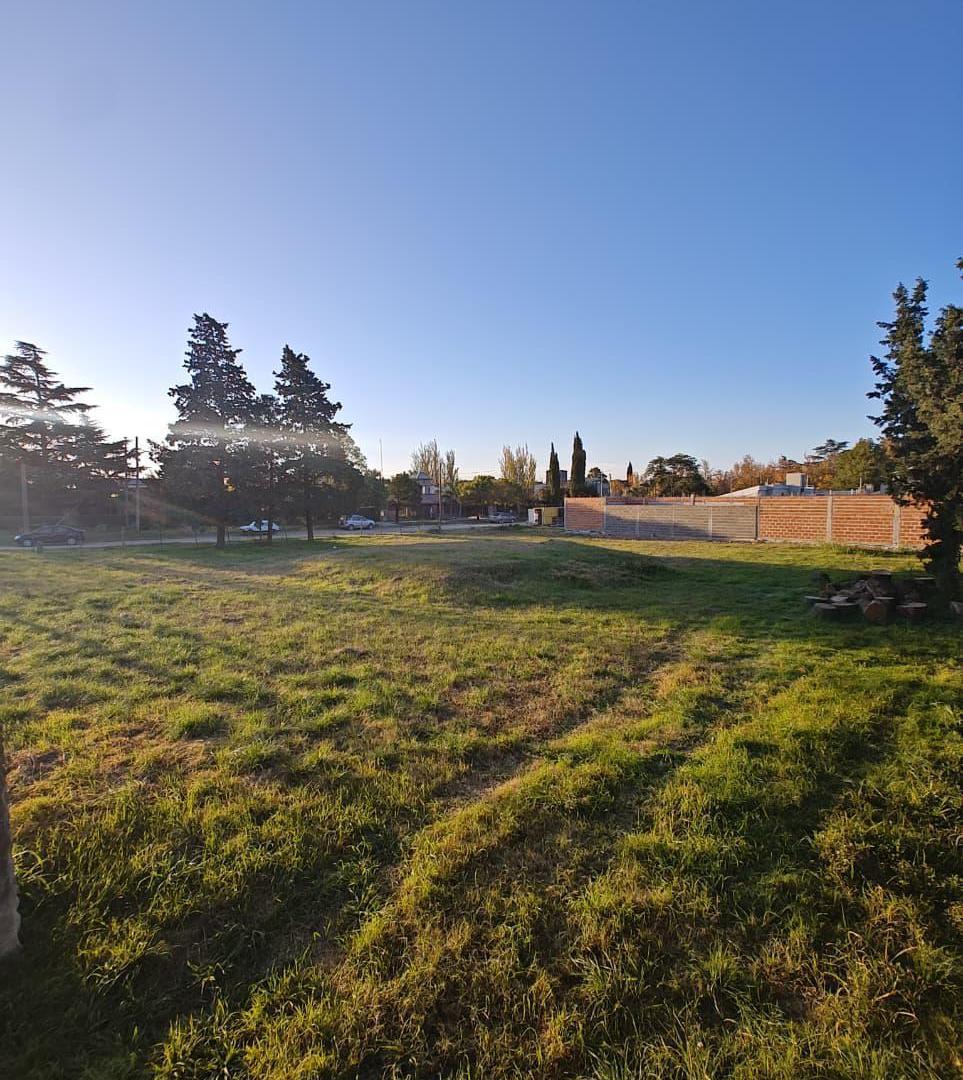 Lote sobre Ruta 36