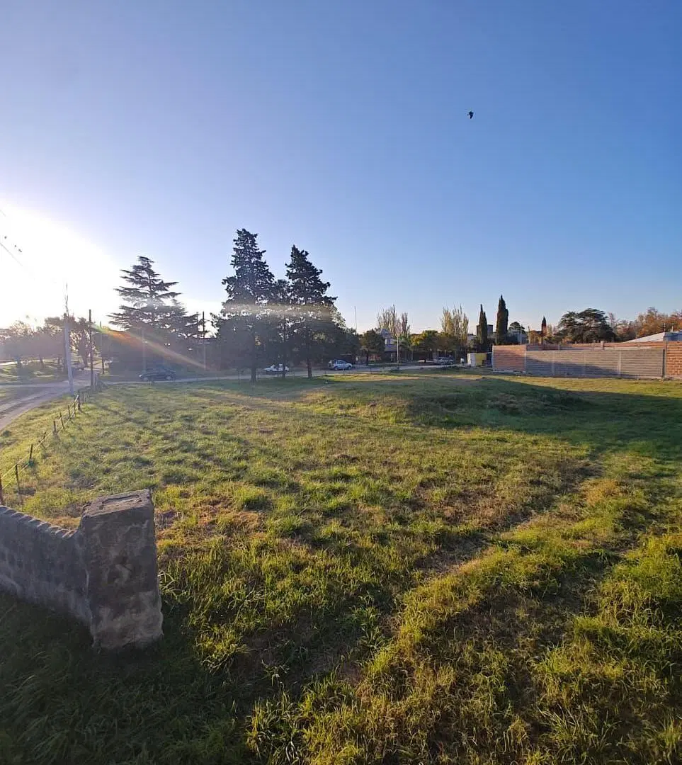 Lote sobre Ruta 36 2