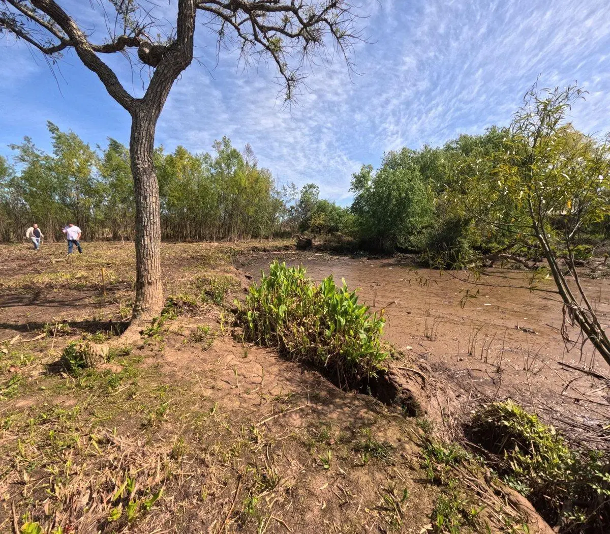 Dos lotes en venta en Arroyo Urión con Escritura 5