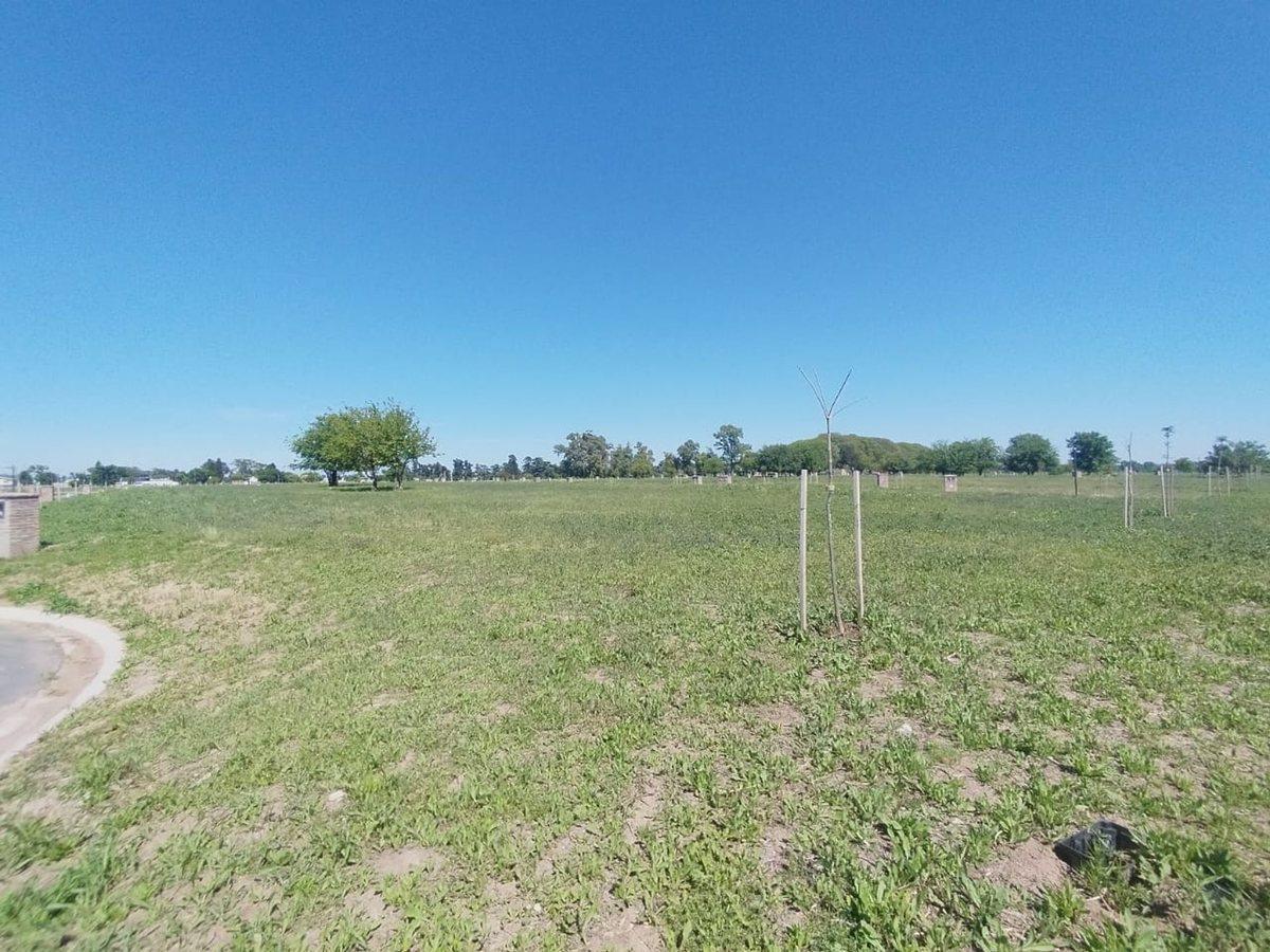LOTE EN VENTA EN LA POSTA PILAR