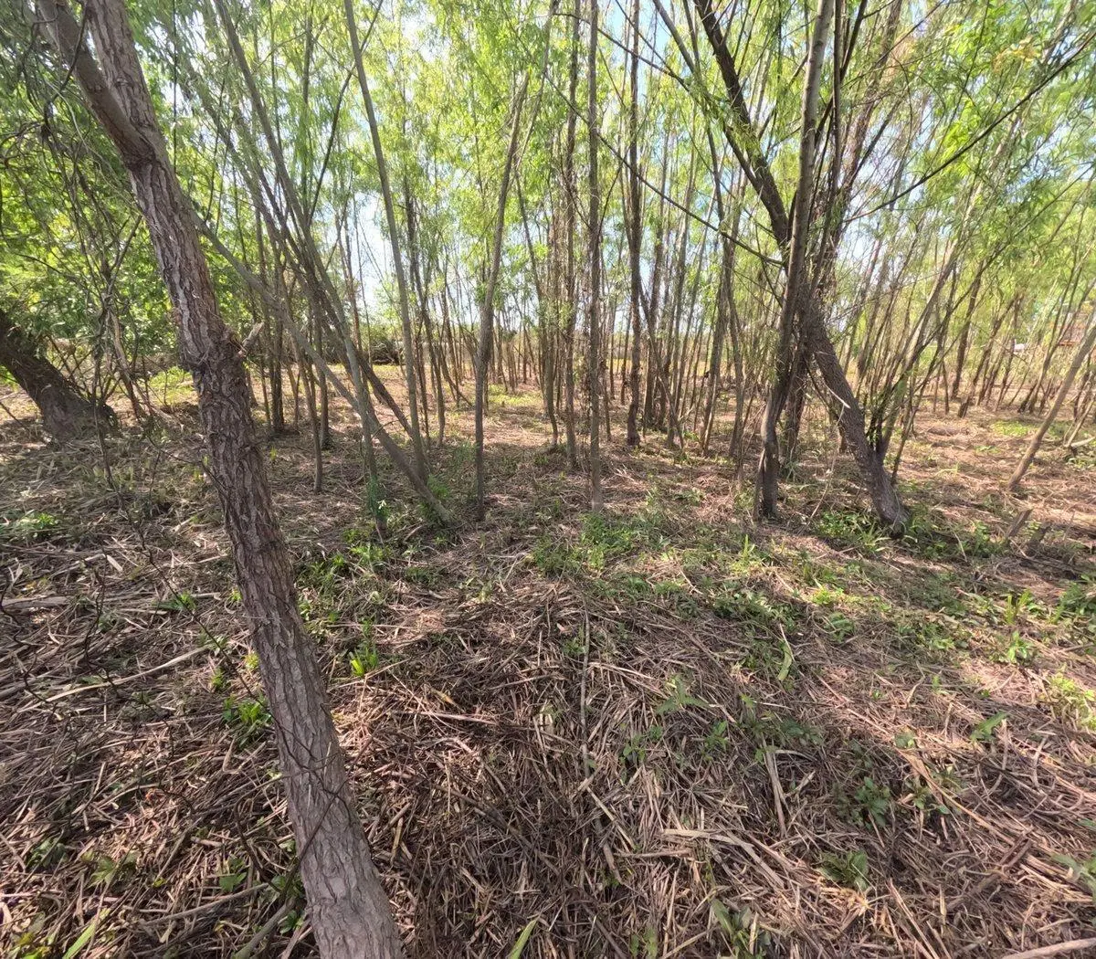 Dos lotes en venta en Arroyo Urión con Escritura 3