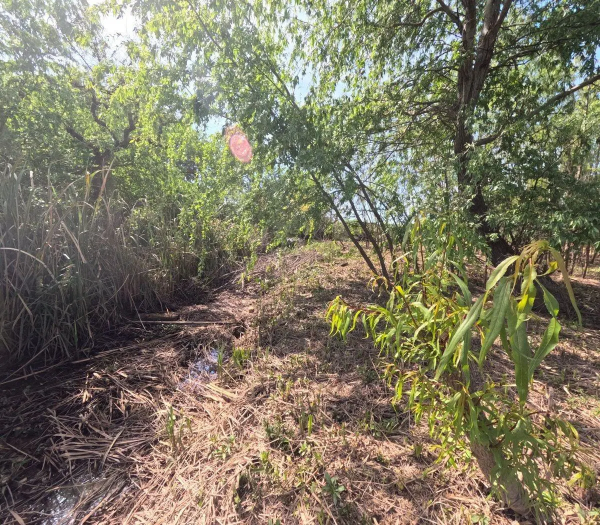 Dos lotes en venta en Arroyo Urión con Escritura 2