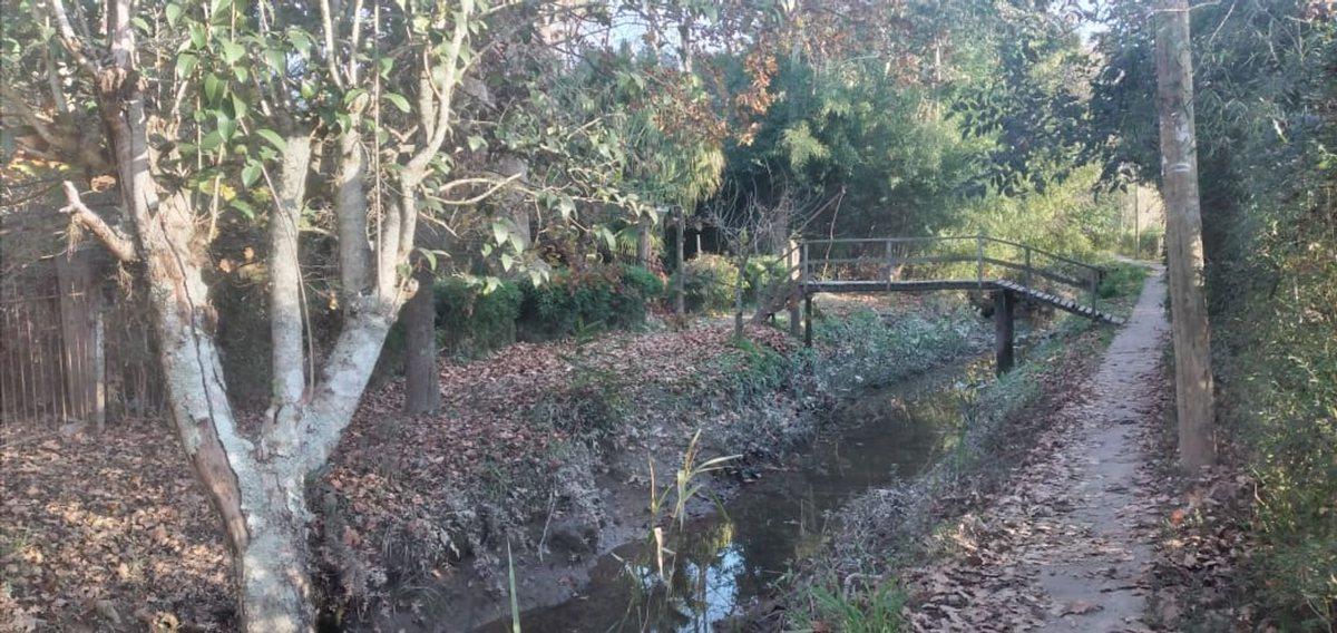Foto de Venta de Lote con cabaña construida (3339m2), imagen 3