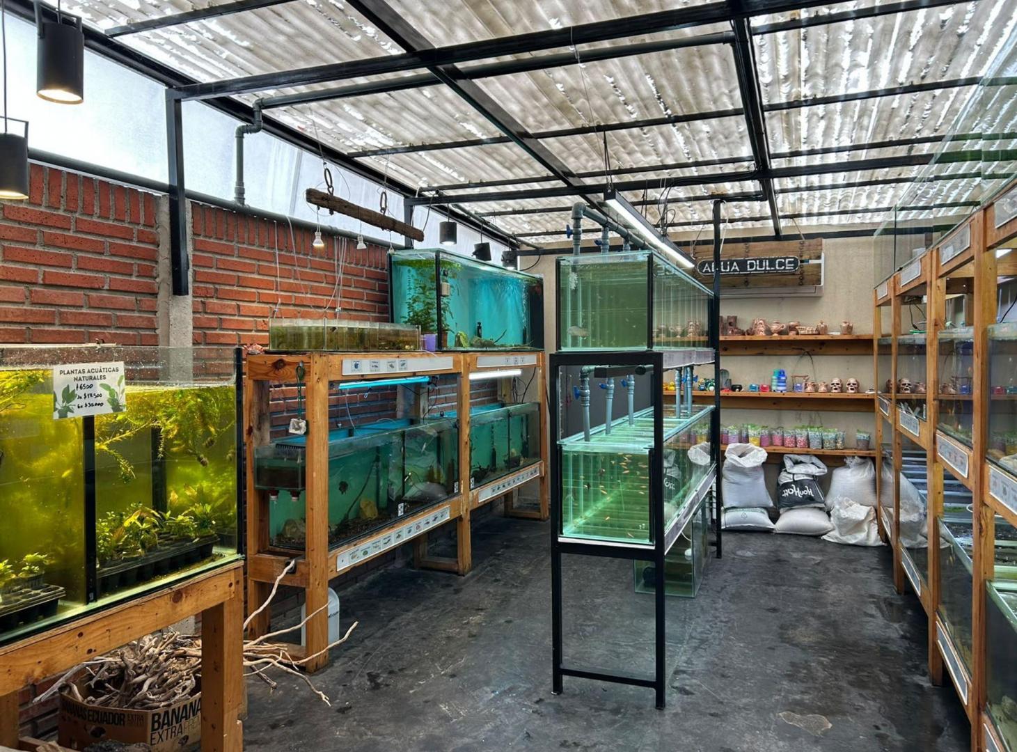 Foto de VENTA DE LOCAL COMERCIAL CON RENTA | MUNRO CENTRO, imagen 5