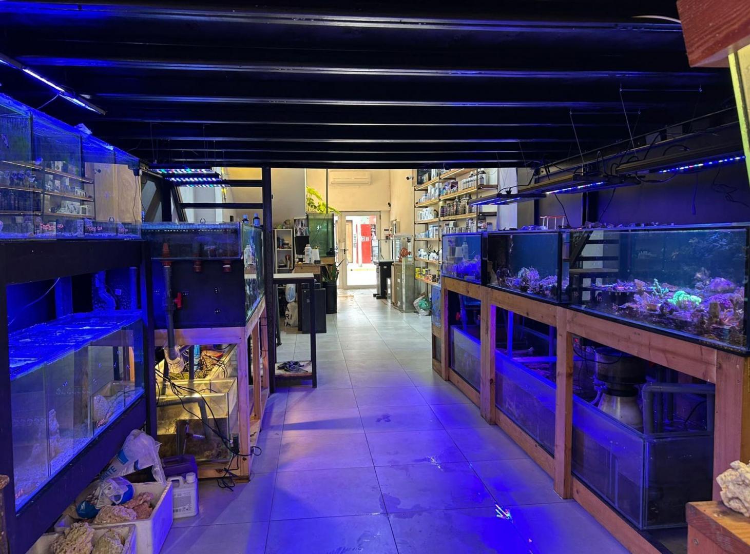 Foto de VENTA DE LOCAL COMERCIAL CON RENTA | MUNRO CENTRO, imagen 4