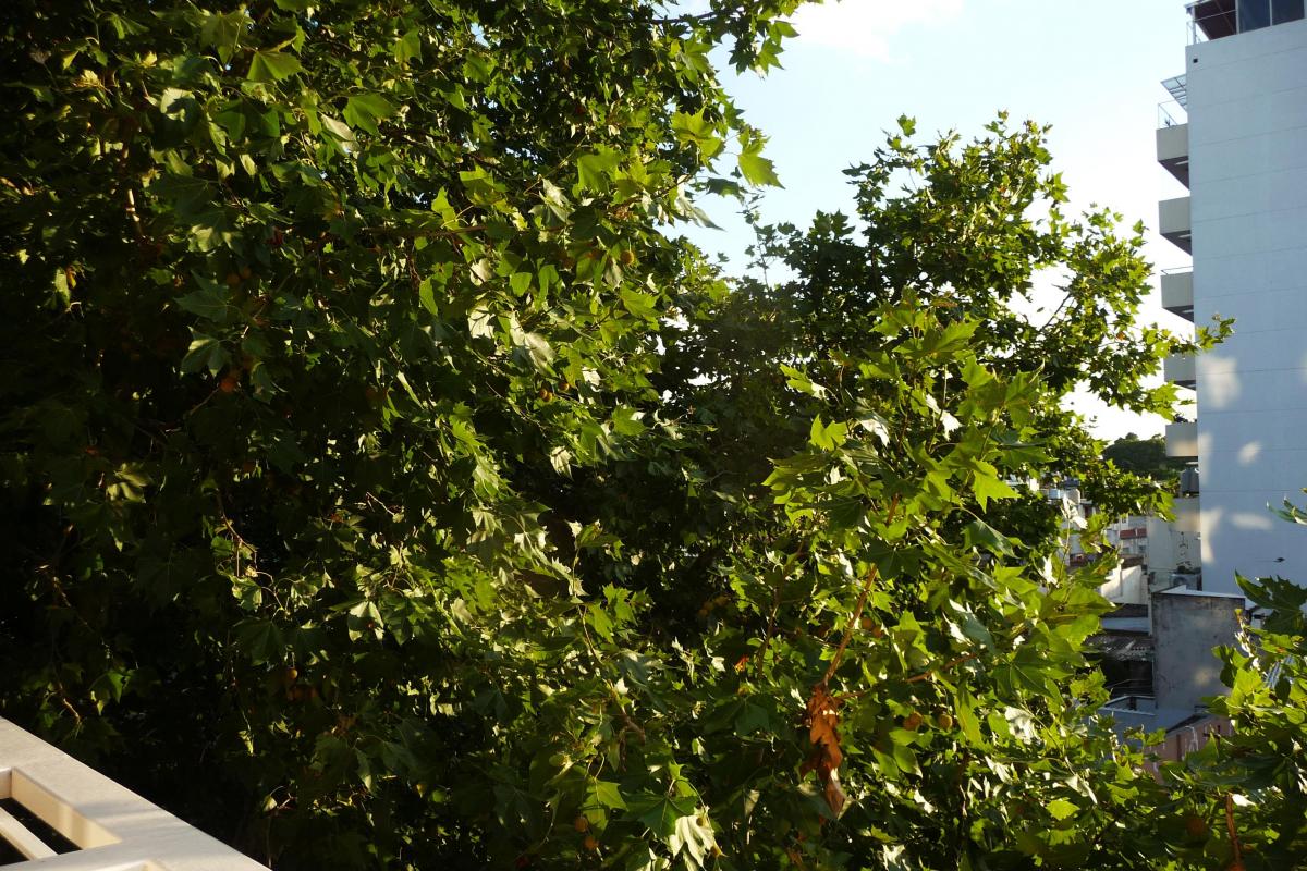 Venta Urquiza - Parque Chas - 2 Ambientes Al Frente Todo Luz Balcón 3