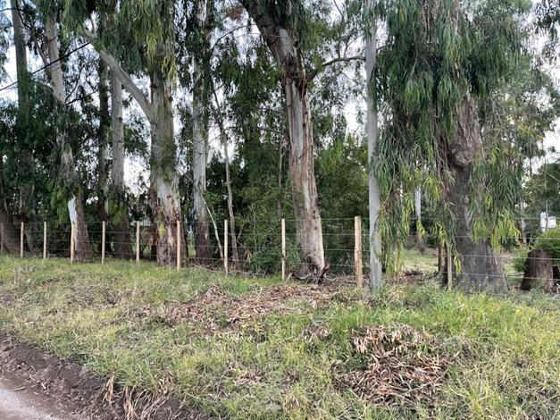 venta de lotes en La Elena Tandil calle Colihue