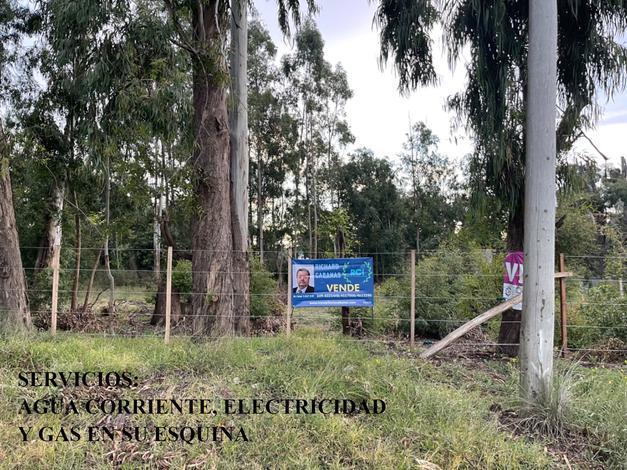 Foto de venta de lotes en La Elena Tandil calle Colihue, imagen 2