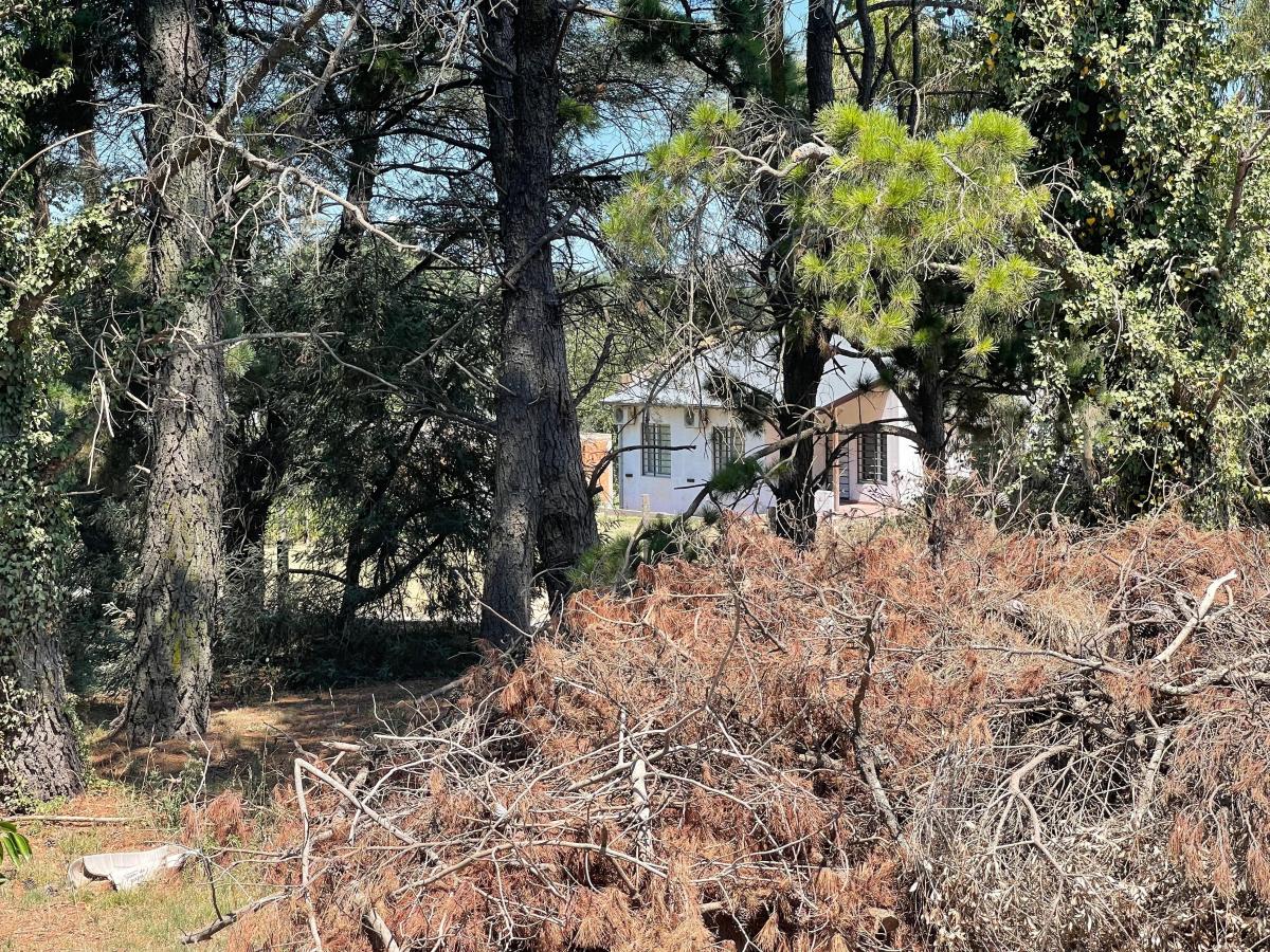 Vivienda Amplia y Funcional en Tandil: ¡Conéctate con La Naturaleza 4