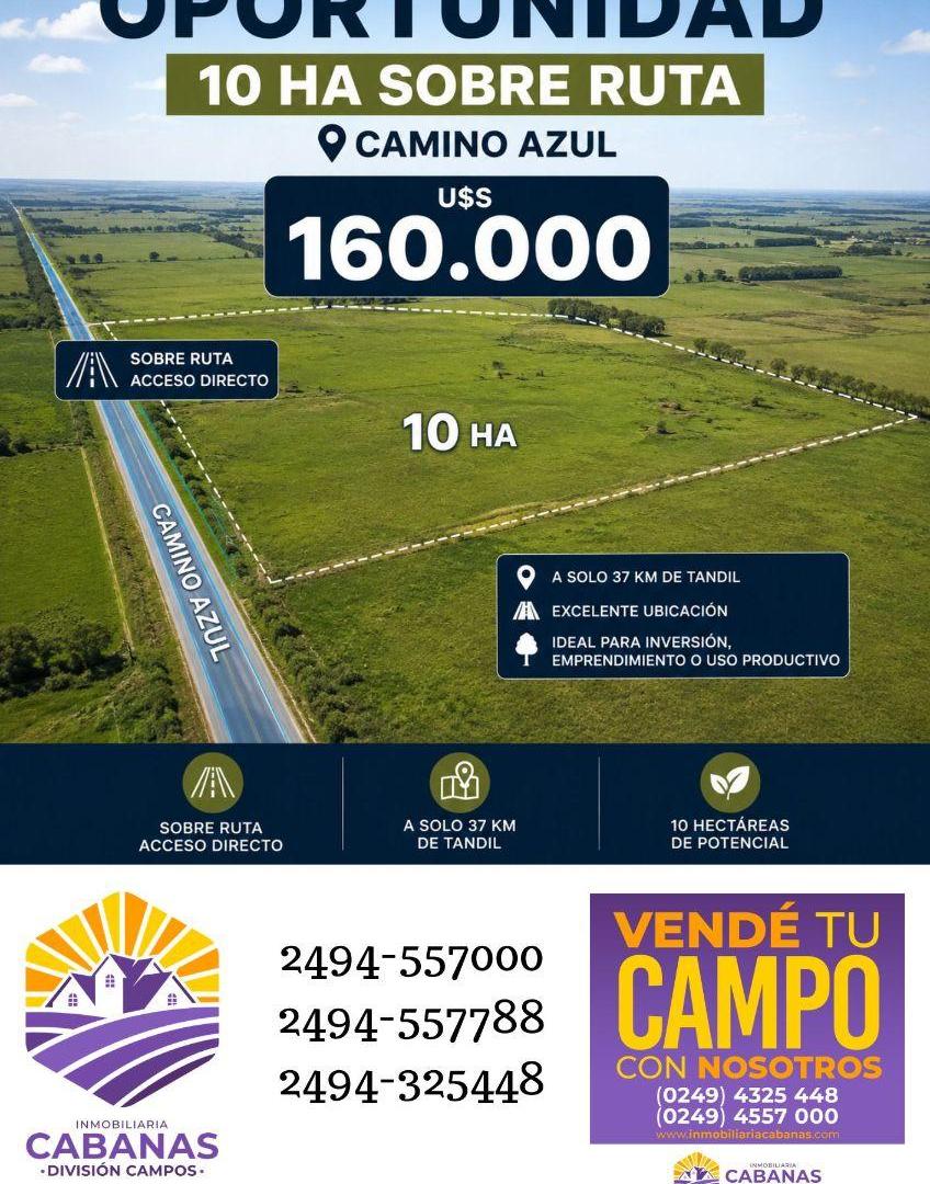 Foto de vendemos 10ha sobre ruta 226 con molino La Pastora, imagen 2