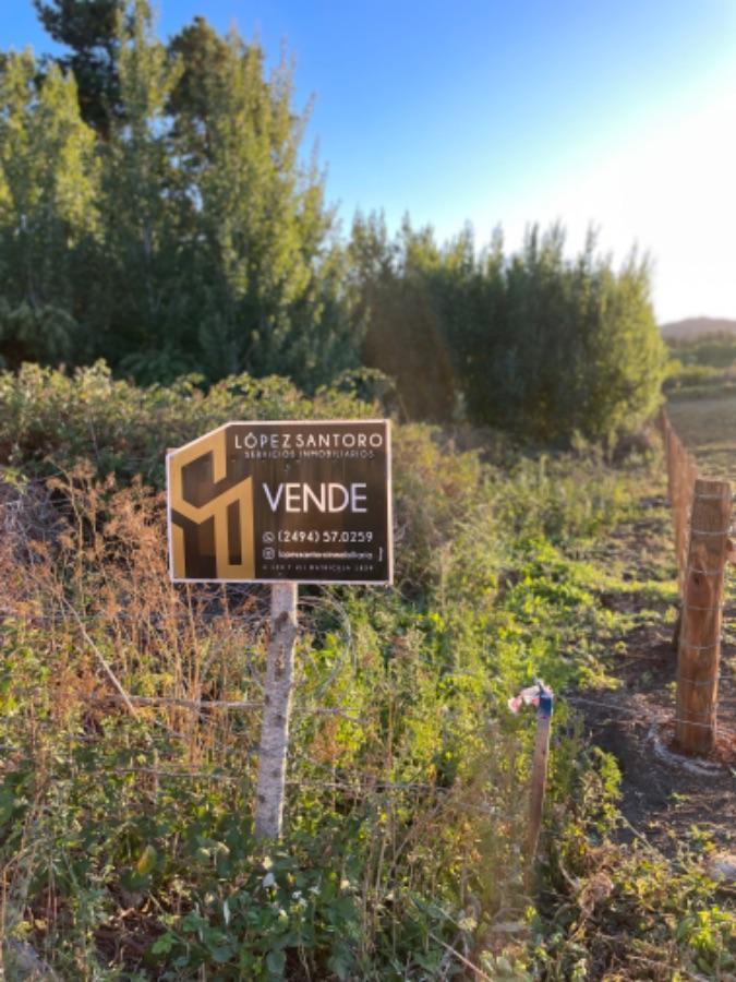 Terreno en Venta de 1491 m² Ubicado en Tandil (Zona Dique) 3