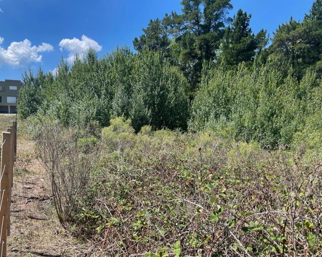 Terreno en Venta de 1491 m² Ubicado en Tandil (Zona Dique) 4