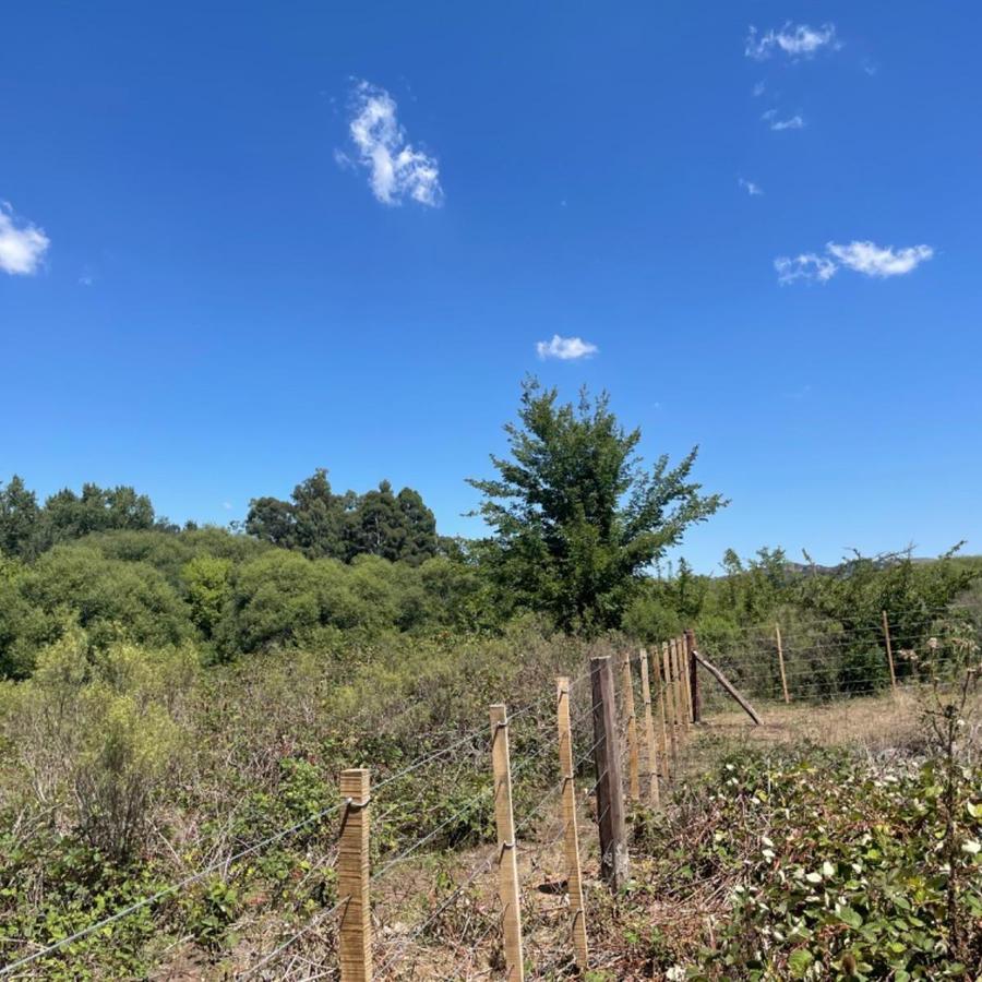Terreno en Venta de 1491 m² Ubicado en Tandil (Zona Dique) 5