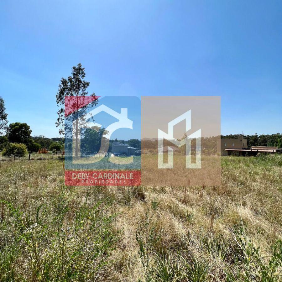Terreno en Venta en La Elena, Tandil (2810 M) 5