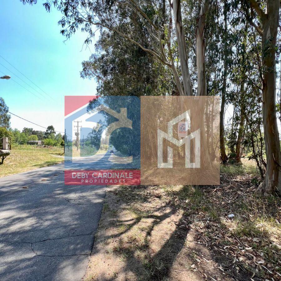 Terreno en Venta en La Elena, Tandil (2810 M) 2