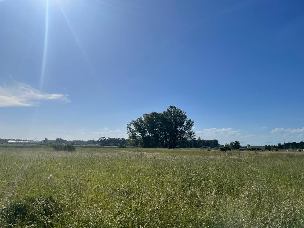 Lotes en Venta en Loteo Rincon de Las Estancias Tandil (4214 M) 1