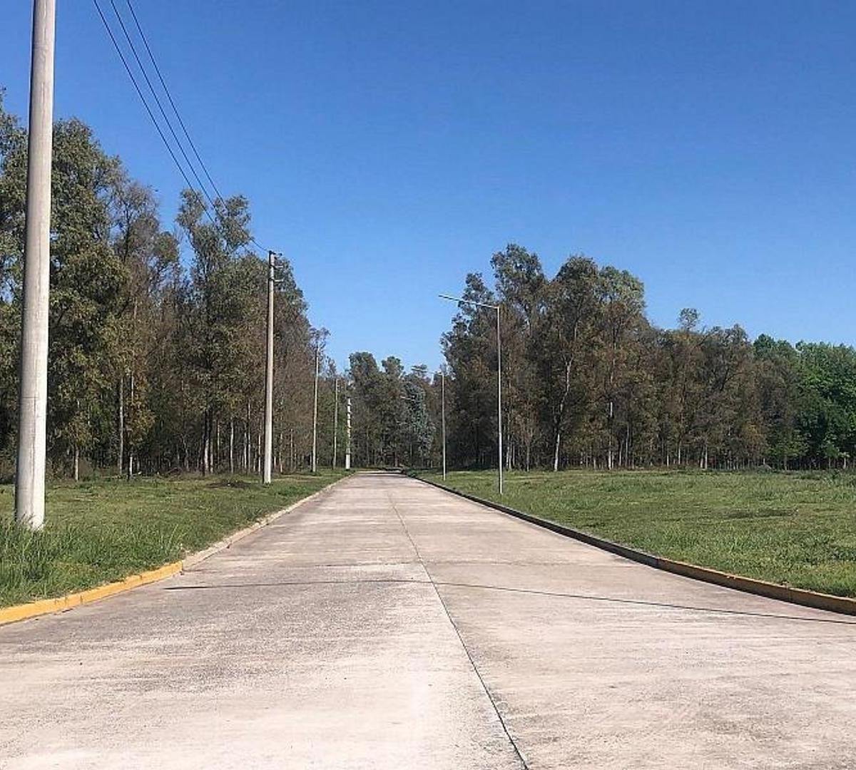 Lote en venta Parque Industrial Moreno