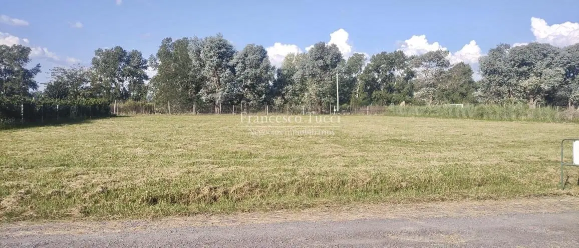 Terreno en San Roque 4