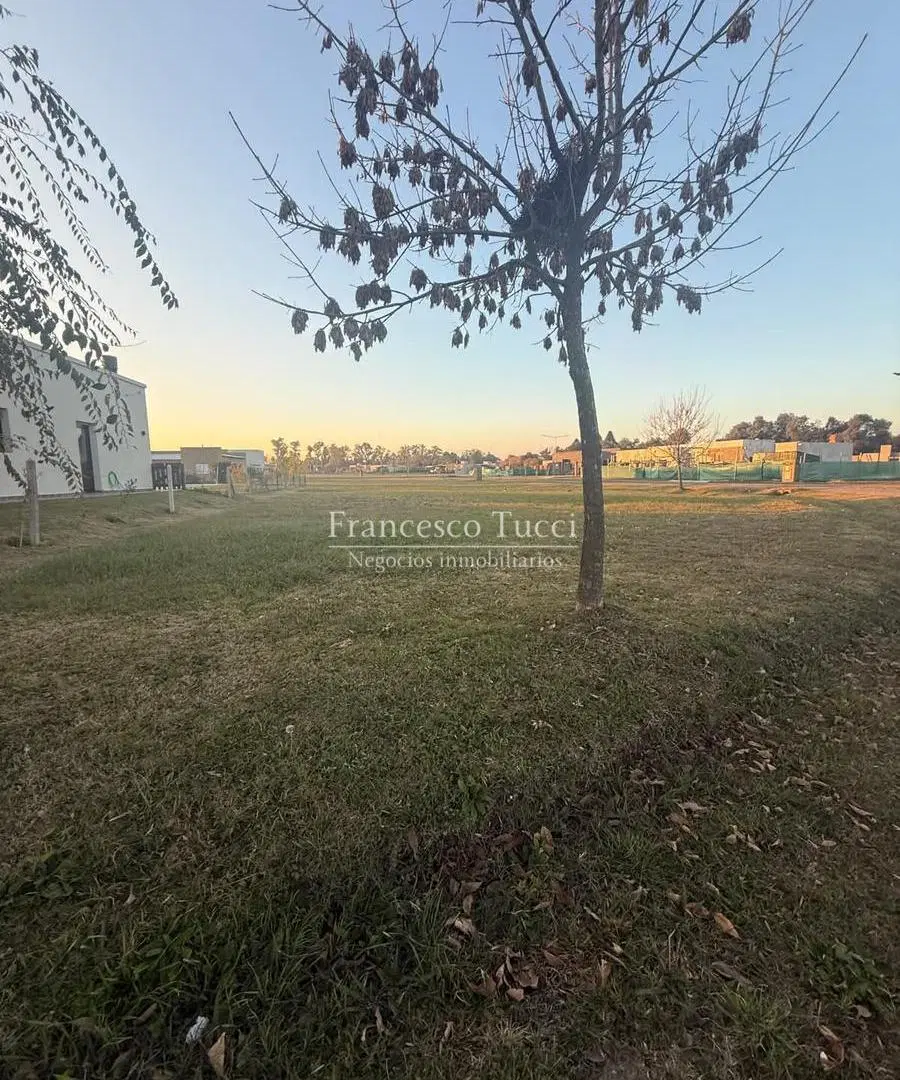 Terreno en venta Los Juncos 3