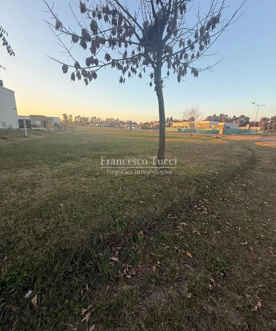 Terreno en venta Los Juncos 4