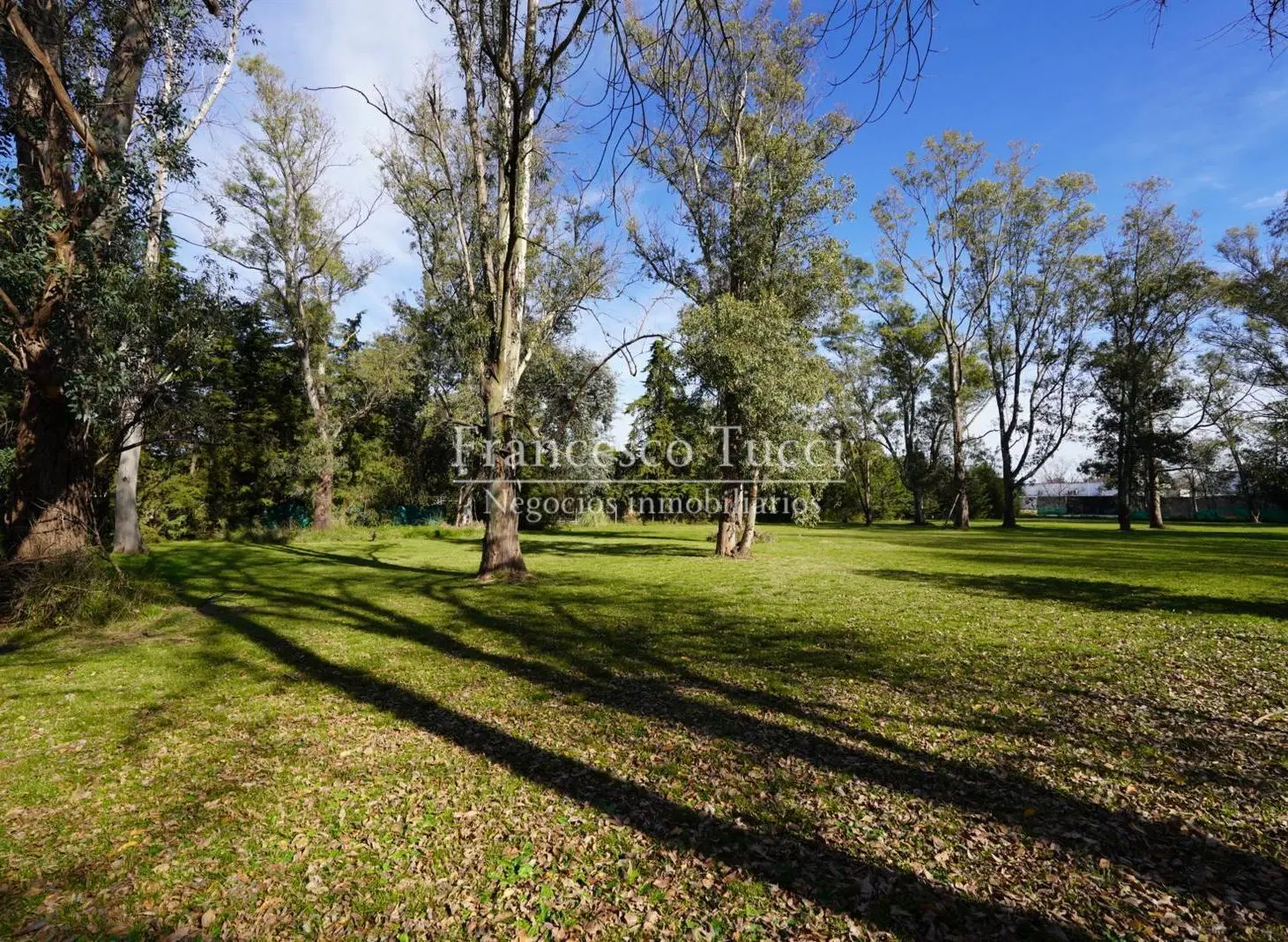 Terreno en venta en Francisco Álvarez 2