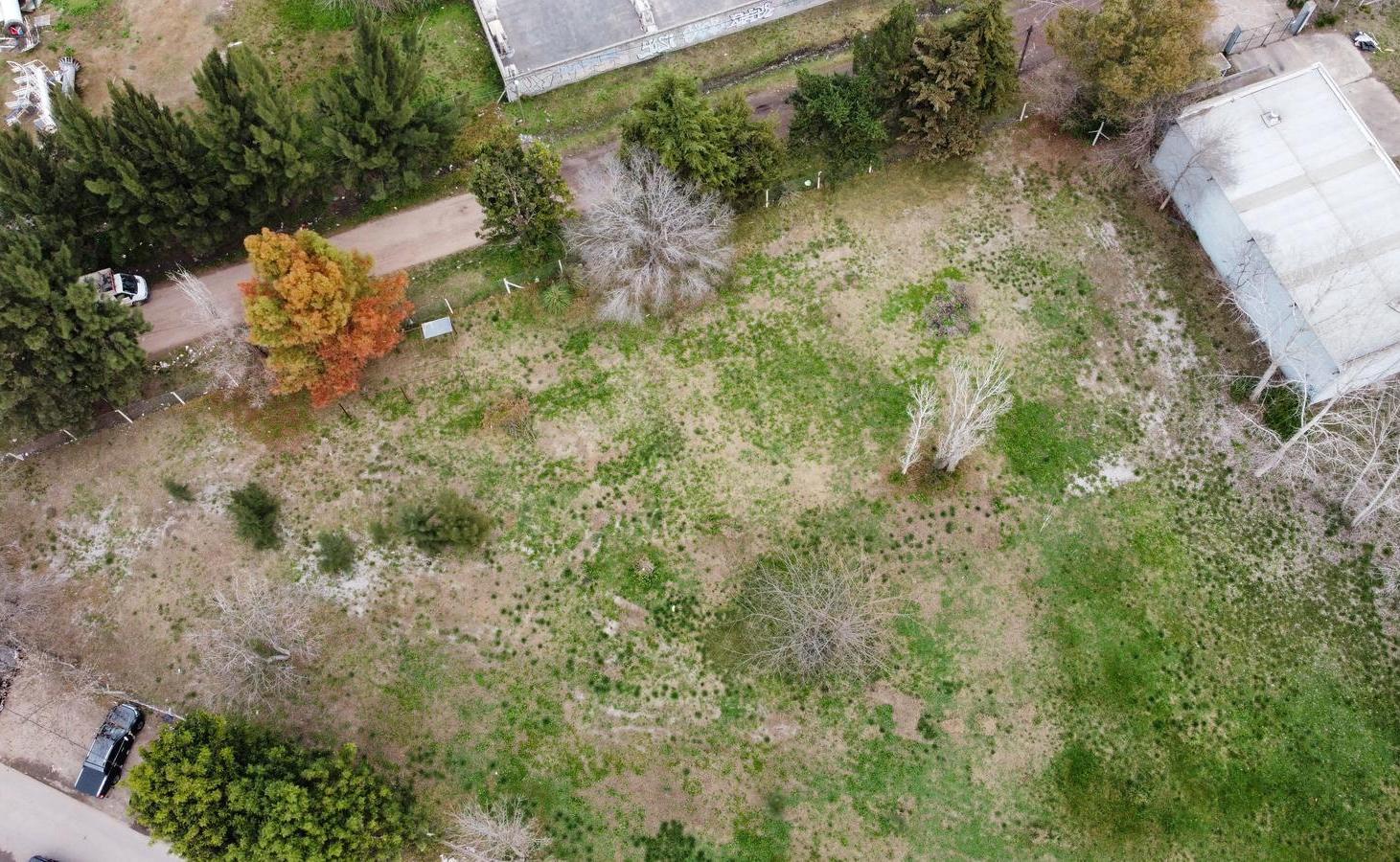 Foto de Terreno en venta en Francisco Álvarez, imagen 2