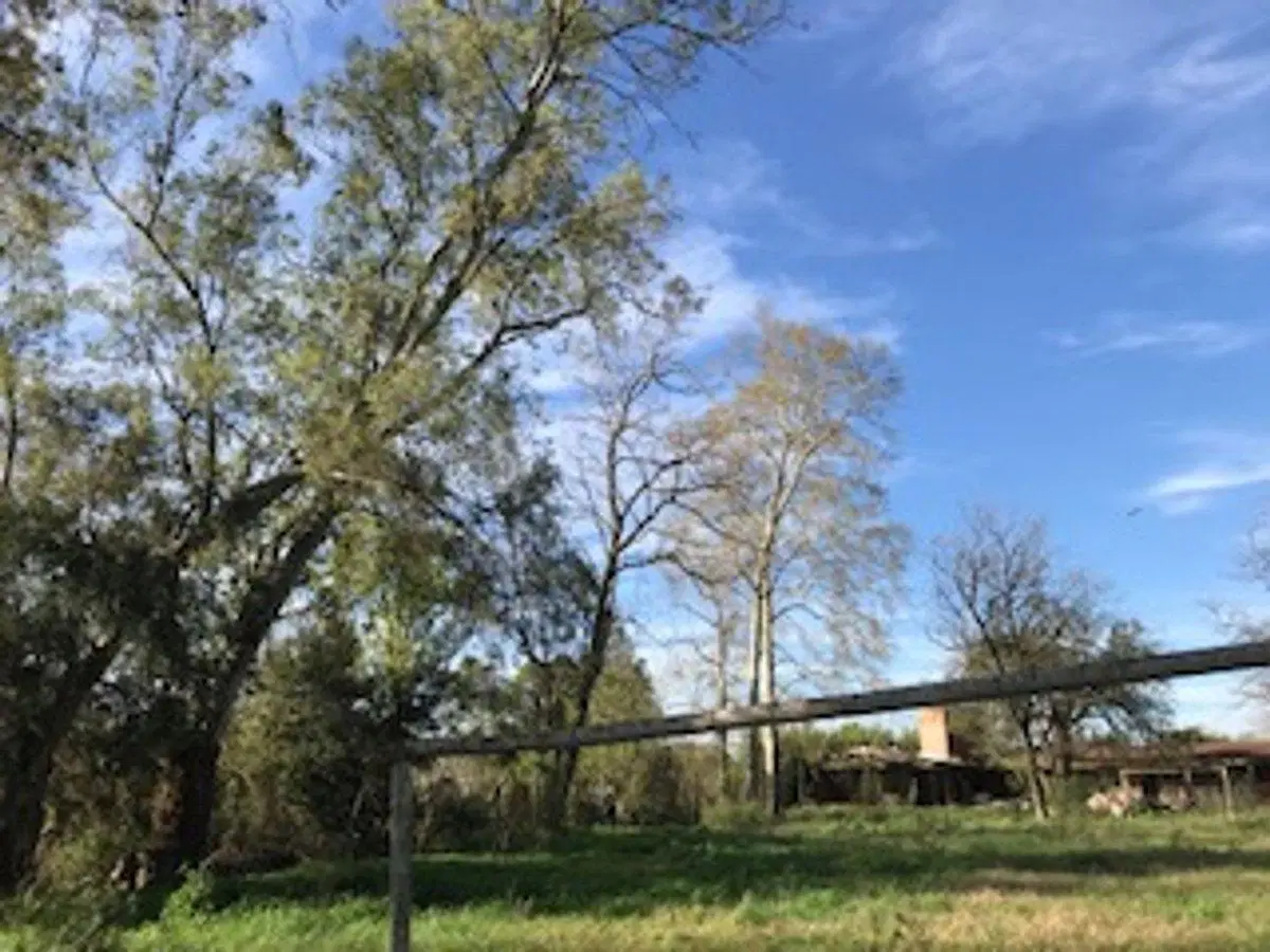 VENTA LOTE EXCELENTE UBICACION LOMA VERDE, ESCOBAR 3
