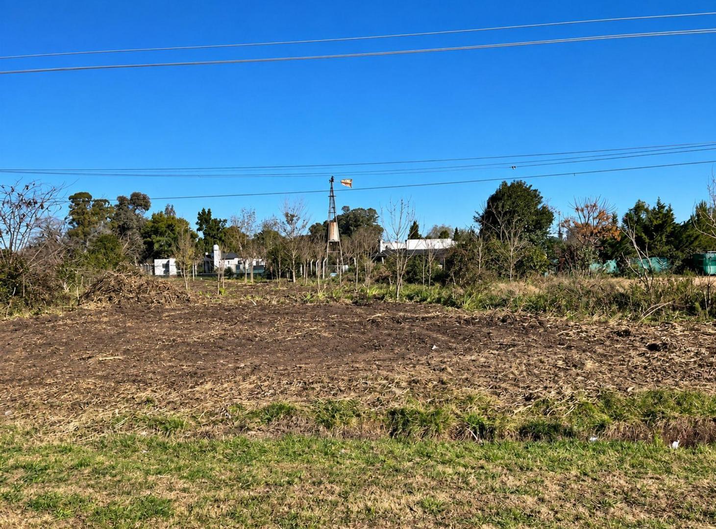 Foto de LOTE S/ RUTA 39 entre RUTA 8 y CAPILLA DEL SEÑOR, imagen 4
