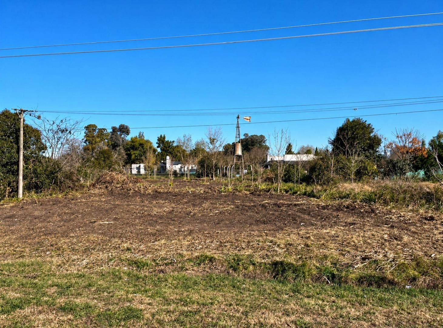 Foto de LOTE S/ RUTA 39 entre RUTA 8 y CAPILLA DEL SEÑOR, imagen 5