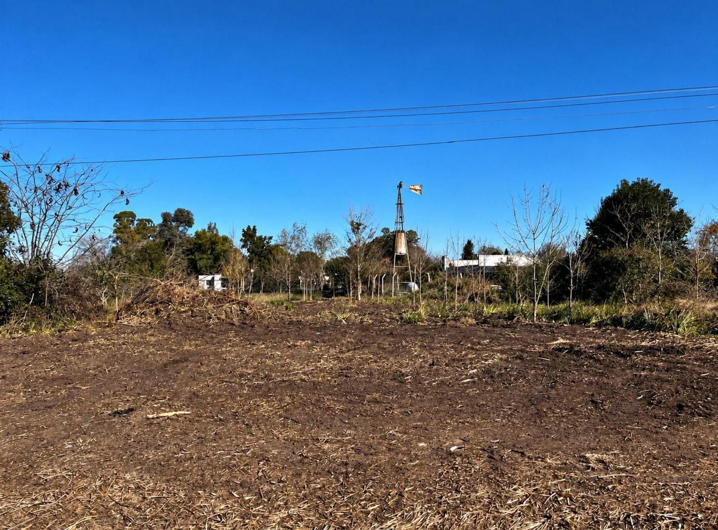 Foto de LOTE S/ RUTA 39 entre RUTA 8 y CAPILLA DEL SEÑOR, imagen 3