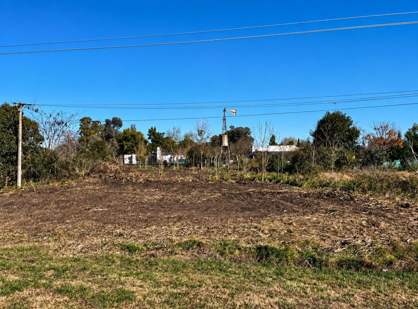Foto de LOTE S/ RUTA 39 entre RUTA 8 y CAPILLA DEL SEÑOR, imagen 1