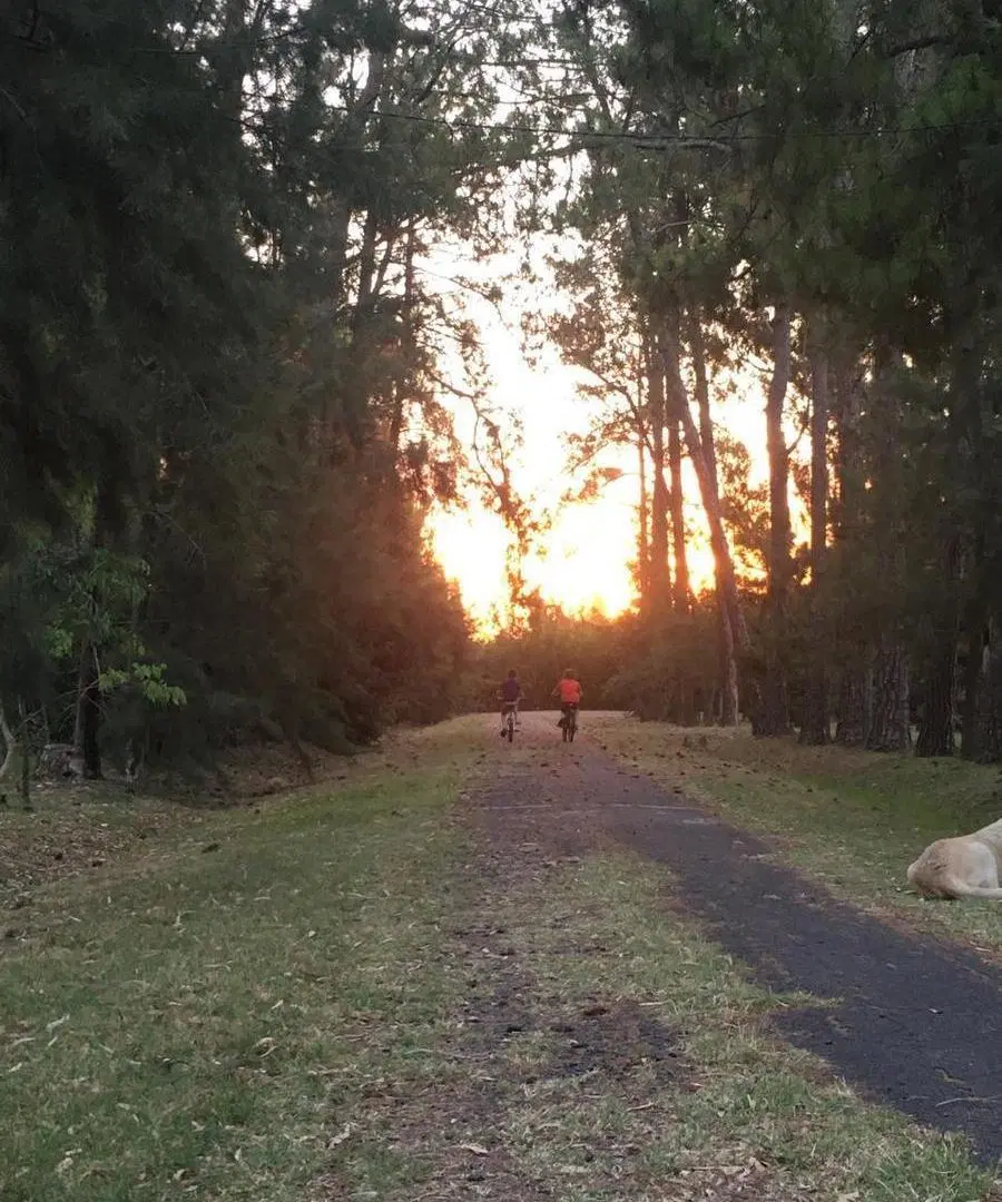 Campo en Alejandro Korn 5