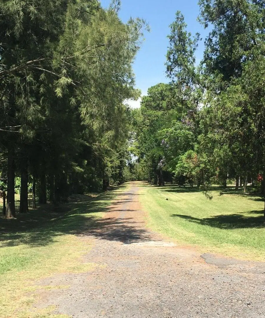 Campo en Alejandro Korn 2