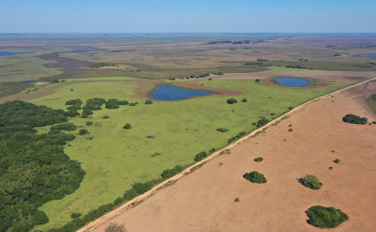 Venta Campo premium en Ituzaingó, Corrientes 3