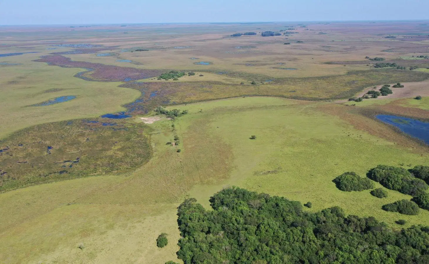 Venta Campo premium en Ituzaingó, Corrientes 2