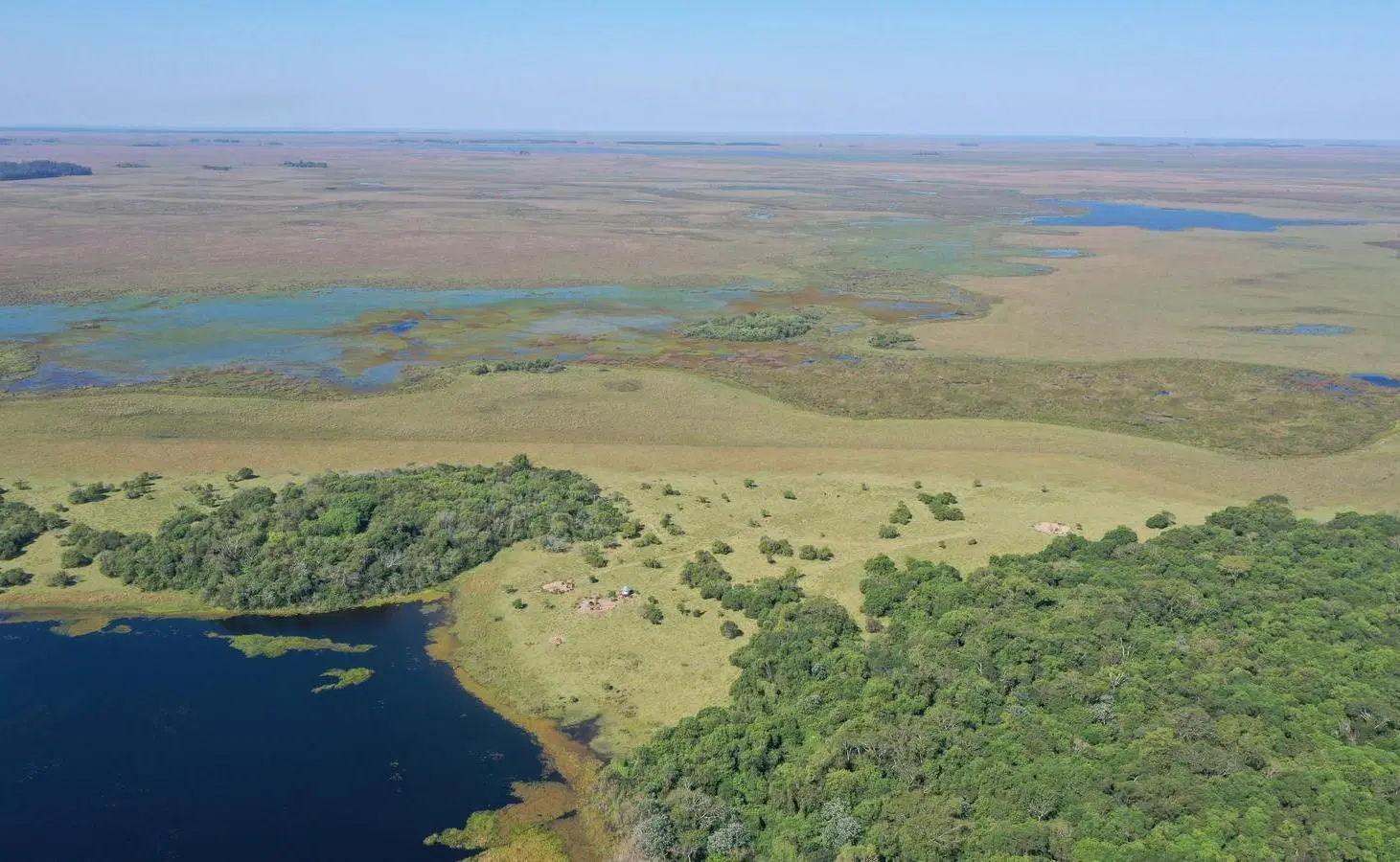 Venta Campo premium en Ituzaingó, Corrientes 5