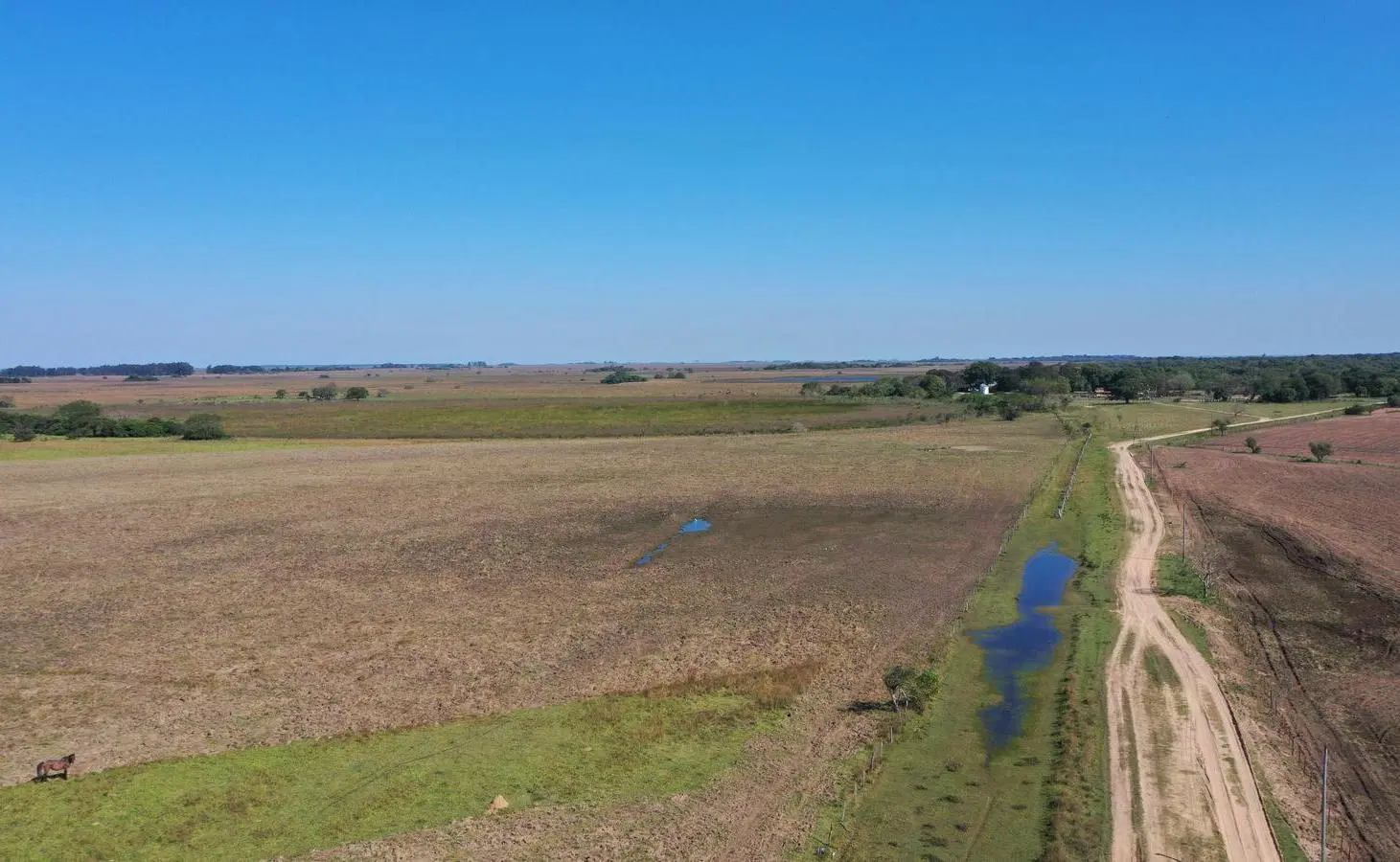 Venta Campo premium en Ituzaingó, Corrientes 4