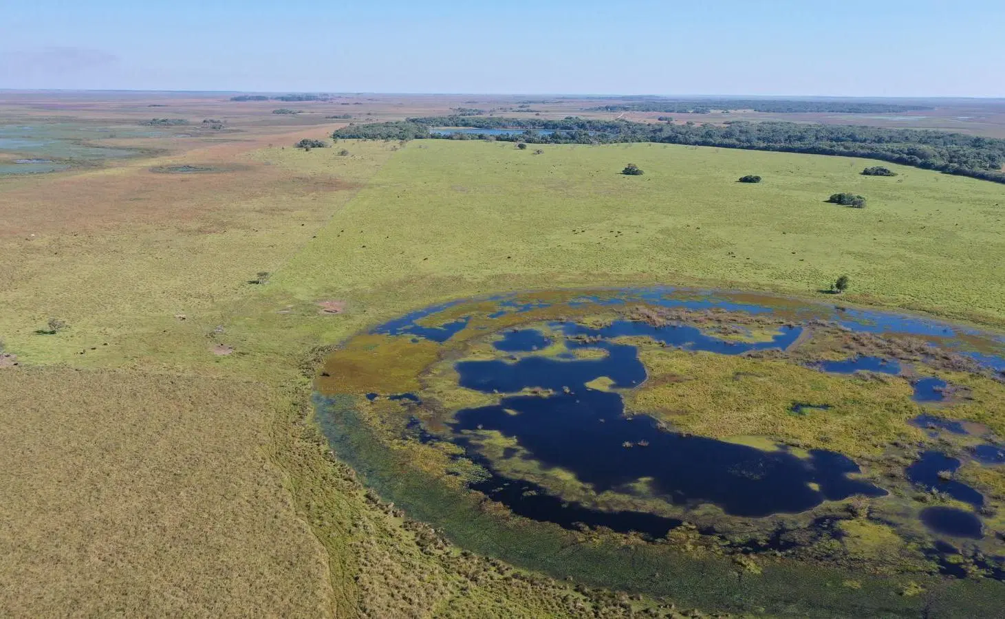 Campo Ituzaingo Corrientes 2